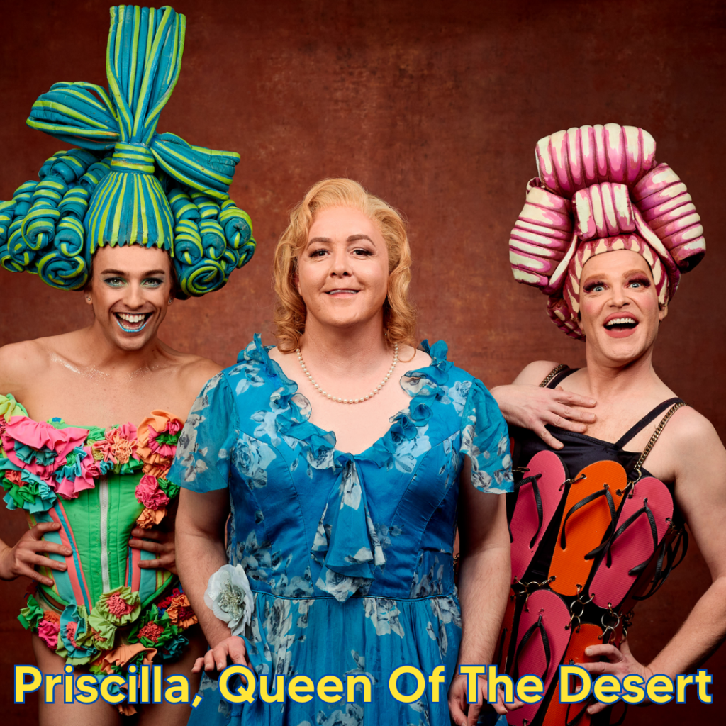 Review: Priscilla, Queen Of The Desert